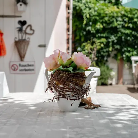Rosa *